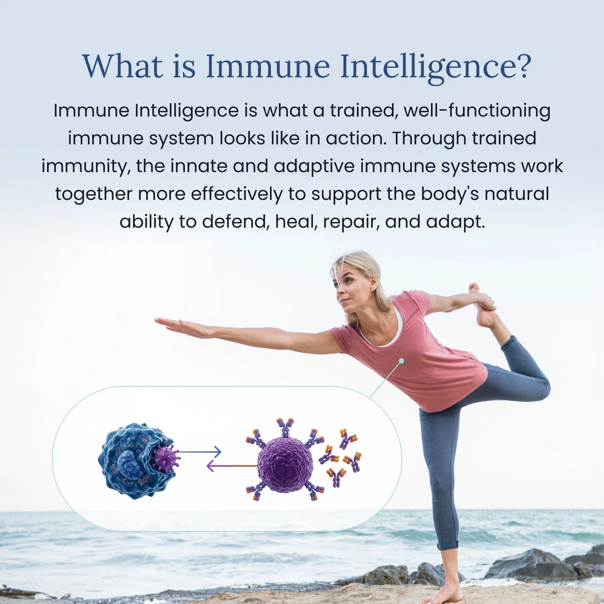 BWH-85® Beta Glucan